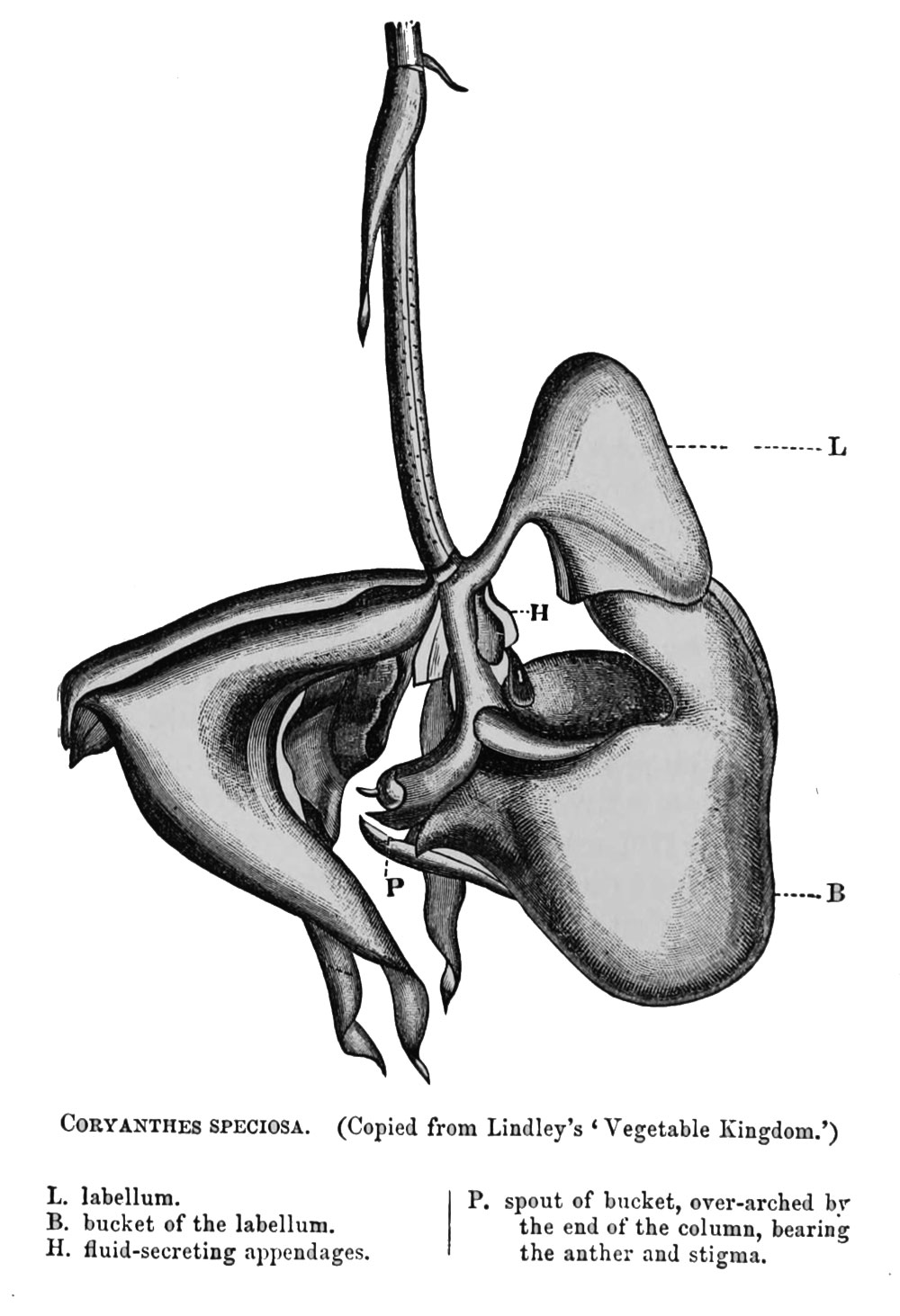 Equihua Eguiarte Fig3